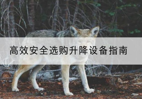 兴和升降货梯厂家推荐-*安全选购升降设备指南