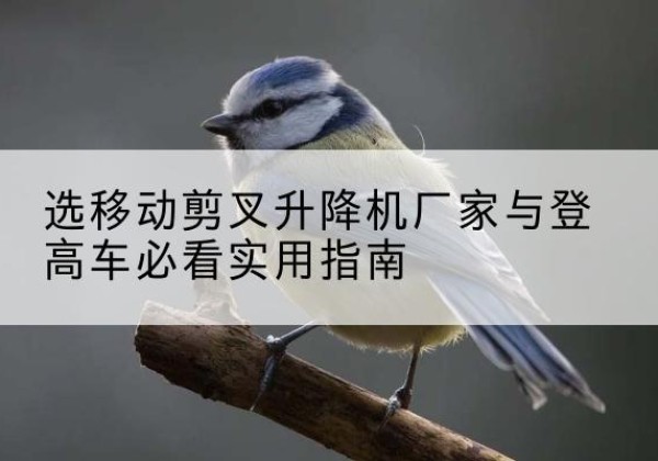 兴和电动升降机厂家-选移动剪叉升降机厂家与登高车必看实用指南