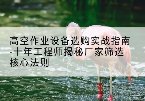 兴和剪叉式升降机厂家-高空作业设备选购实战指南-十年工程师揭秘厂家筛选核心法则